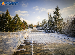 Когда в Волгодонске пойдет снег: ждать ли настоящей зимы в ближайшие дни