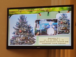 Морские, винтажные, европейские волгодонские елки возглавили новогодний топ