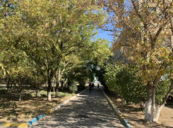 Солнце и сильный ветер ждут волгодонцев в середине рабочей недели