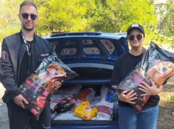 Собачий корм вместо цветов: волгодонцы заказали необычные подарки на свадьбу