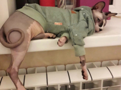 Из-за благоприятной погоды волгодонцы не торопятся включать отопление