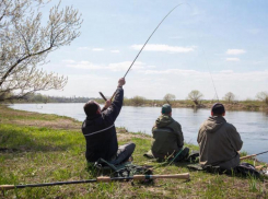 Как не оказаться в тюрьме из-за неправильной рыбалки: актуальные правила рыболовства на весну 2026 года