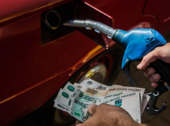 Какие цены на топливо установились на некоторых автозаправках Волгодонска