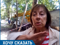 С дуру режут, - член творческой ассоциации при ЮНЕСКО о вырубке деревьев у «Дома художников» в Волгодонске