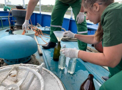 От Ростова до Волгодонска выявят главных загрязнителей Дона