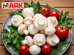 Товар дня: грибы шампиньоны всего за 170₽/кг