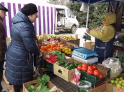 За яблоками и свежайшими шампиньонами отправились волгодонцы на площадь Победы в субботу утром