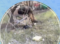 Сидящего за уличным столом мертвого мужчину обнаружили рядом с площадью Победы в Волгодонске