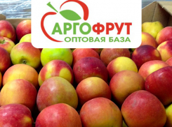 Свежие фрукты и овощи на новогодний стол без лишних затрат от «АргоФрут» 