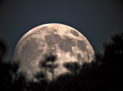 В ближайшие выходные жители Волгодонска смогут увидеть суперлуние