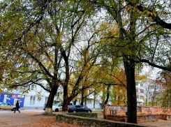 Пасмурным и ветреным, но со знаком «+» будет вторник в Волгодонске