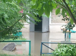 Даже в деревне такого нет — в Волгодонске дождевая вода ворвалась в подъезды жилого дома