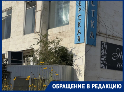 «Сорняки в Волгодонске настолько неприхотливы, что растут даже на крышах»: жители заметили необычный «цветник» в центре нового города 