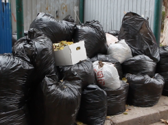 Какой мусор запрещено выносить на контейнерные площадки, или как образуются несанкционированные свалки