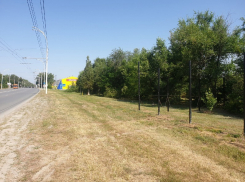 Земельные участки на месте «рощи на Морской» под магазины удвоили 