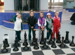 Ловкостью, гибкостью и грацией покорили Калмыкию юные красавицы из Волгодонска