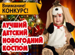 9 000 рублей выиграет к Новому году победитель конкурса «Лучший детский новогодний костюм» 