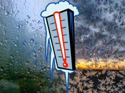 Какую погоду на Новый год обещают синоптики волгодонцам