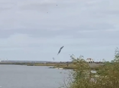 Небесный вихрь над Волгодонском: завораживающая мурмурация вызвала восхищение у очевидцев