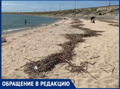 Тухлая рыба на пляже Цимлянска возмутила купальщиков