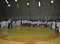 В соревнованиях по рукопашному бою и боевому самбо в Волгодонске приняли участие более 150 спортсменов
