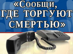 Волгодонцев призывают принять участие в антинаркотической акции «Сообщи, где торгуют смертью!»