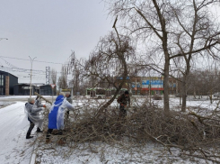 Волгодонцы в большинстве своем не откликнулись на призыв очистить город на субботнике