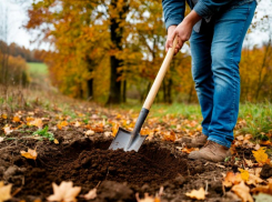 Залог богатого урожая: как подготовить огород к зиме, чтобы весной не хвататься за голову