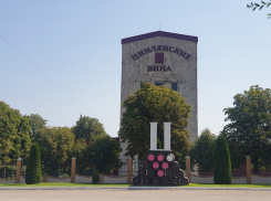 В Цимлянске за полгода в полтора раза нарастили производство вина