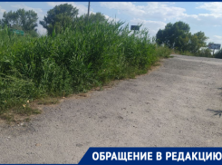 «Уже несколько раз чуть не попали в ДТП»: скосить заросли кустов у дороги просят волгодонцы 