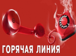 Власти Волгодонска призвали горожан сообщать о незаконной торговле алкоголем