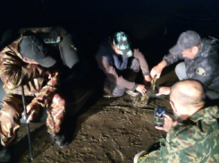 Под Цимлянском спасли от смерти и поедания людьми множество раков