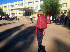 Волгодонские школьники не будут сдавать ВПР этой весной