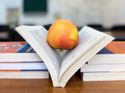 В новый год - с новыми знаниями: или как «Study Time»* может изменить вашу жизнь