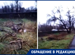 «Деревья спилили, а ветки убрать забыли?»: волгодонцы попросили убрать сухостой на Морской 