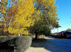 Солнечным, но холодным будет четверг в Волгодонске 