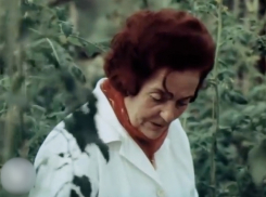 Она не должна быть забыта - партизанка и педагог Мария Чекалдина