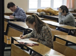 Волгодонские студенты-платники смогут перевестись на бесплатное обучение, если перестанут быть троечниками