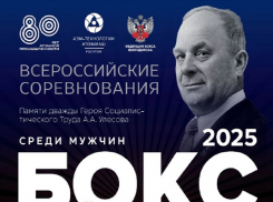 Борьба будет жесткой: невиданный прежде турнир по боксу федерального уровня пройдет в Волгодонске