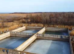 Деньги на строительство ливневой канализации в Волгодонске попросили у Путина