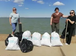 Более двух километров береговой линии Цимлянского водохранилища очистили волгодонские волонтеры