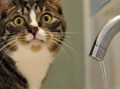 Красный Яр сидит без холодной воды,- красноярцы