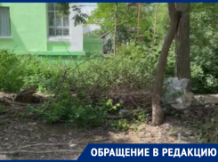 «Живем, как в свинарнике»: состояние сквера депутатов в Волгодонске показали местные жители