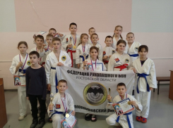 Рукопашники из Зимовников успешно выступили на соревнованиях в Калмыкии 