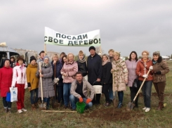 В Волгодонске готовятся к высадке нескольких тысяч деревьев