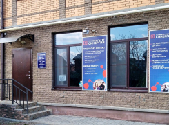 Какие факультеты представлены в университете «Синергия» города Волгодонска