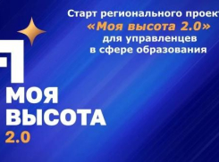 В Ростовской области запустили региональный кадровый проект «Моя высота 2.0»