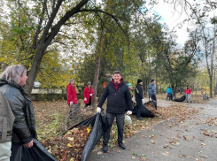 Субботник в сквере «Юность»: власти Волгодонска объединились для наведения чистоты и порядка