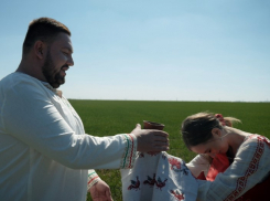 21 век - какое поле и коровы?