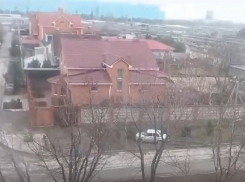 Сбившего туи «пьяного» дрифтера сняли на видео на Октябрьском шоссе 